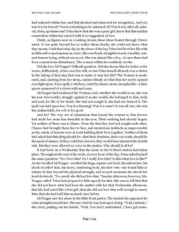 Writing the Nation - Page 254